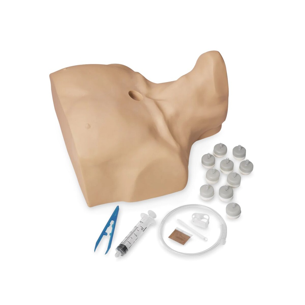 Perfusion intra-osseuse sternale adulte 3B Scientific®