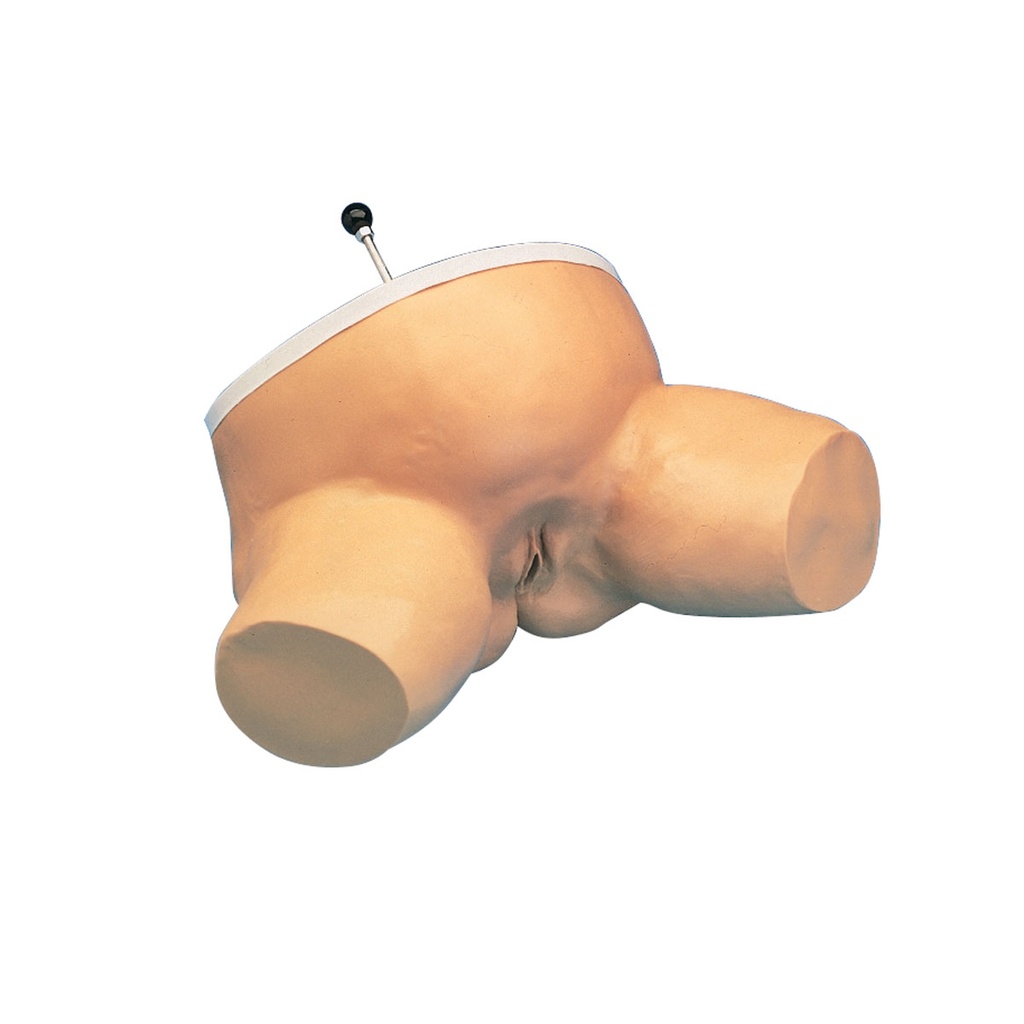 Simulateur de station d'accouchement 3B Scientific®