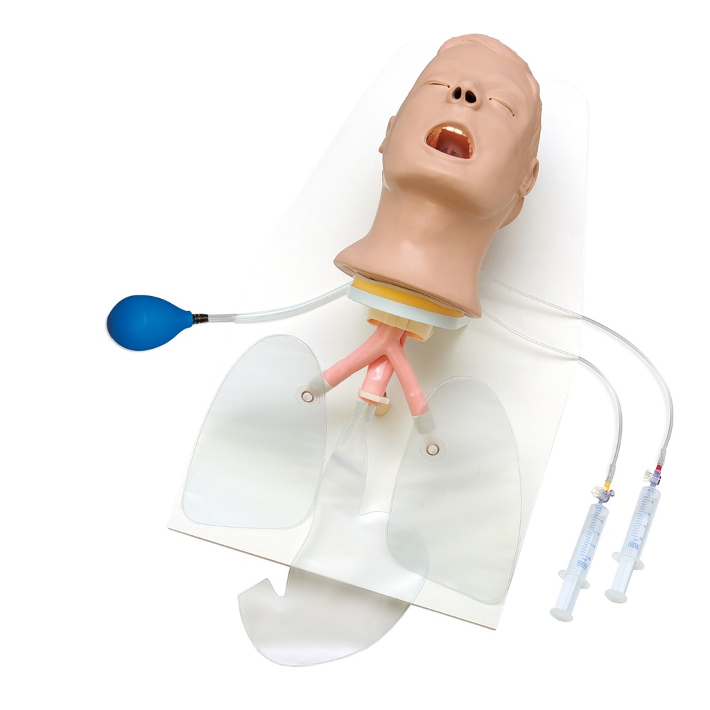 Support pour tête de mannequin Advanced Airway Larry 3B Scientific®