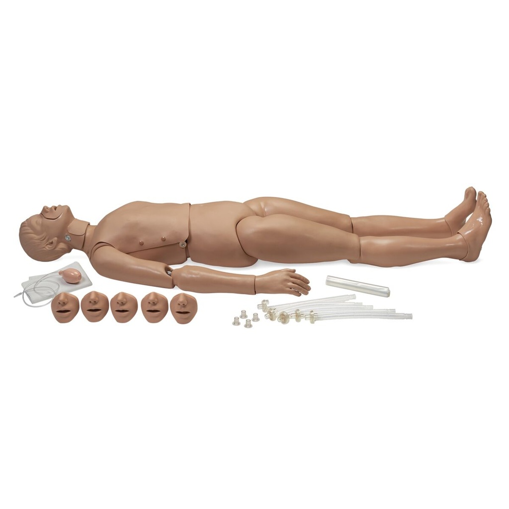 Mannequin RCR corps entier avec option trauma 3B Scientific®