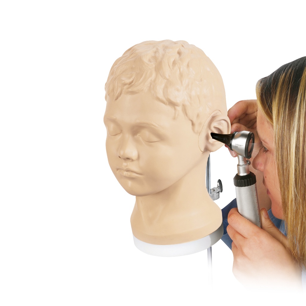 Simulateur de diagnostic et procédures auriculaires 3B Scientific®