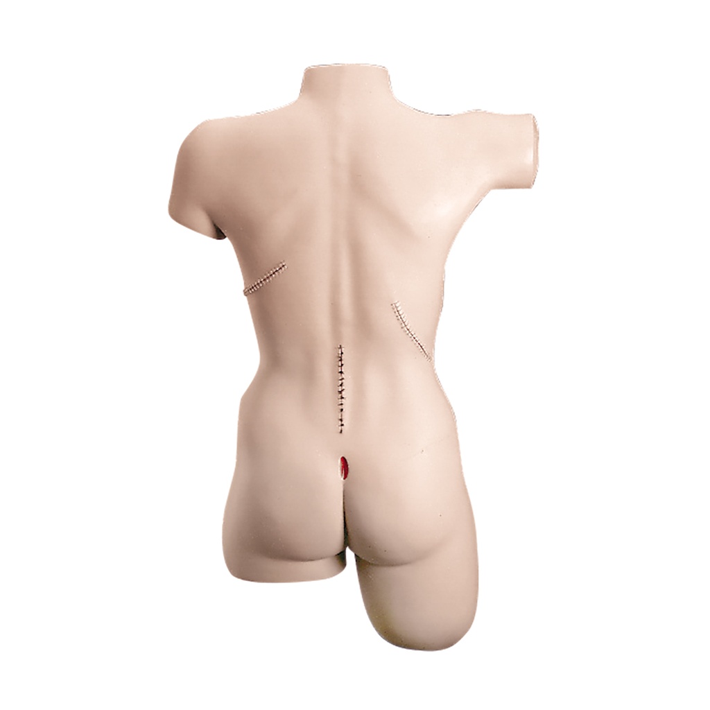 Simulateur de bandage 3B Scientific®
