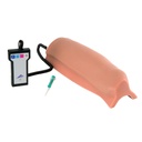 Injection intramusculaire 3B Scientific®