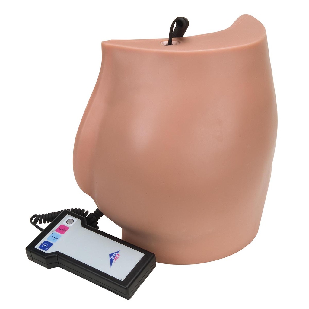 Simulateur d'injection fessière 3B Scientific®
