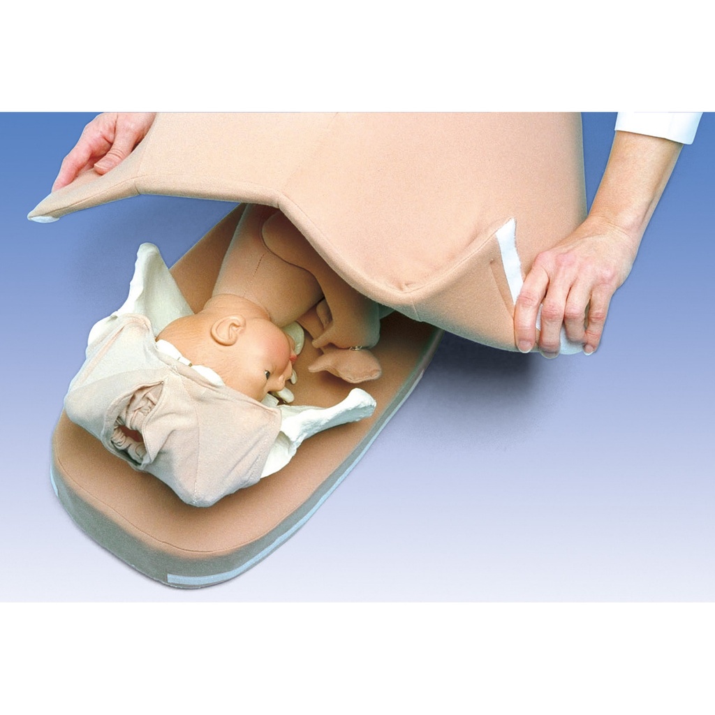 Modèle de palpation pour manœuvres de Leopold 3B Scientific®