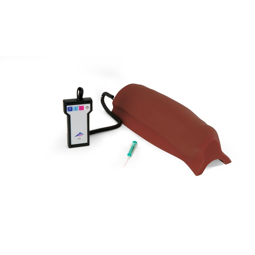 Injection intramusculaire peau foncée 3B Scientific®