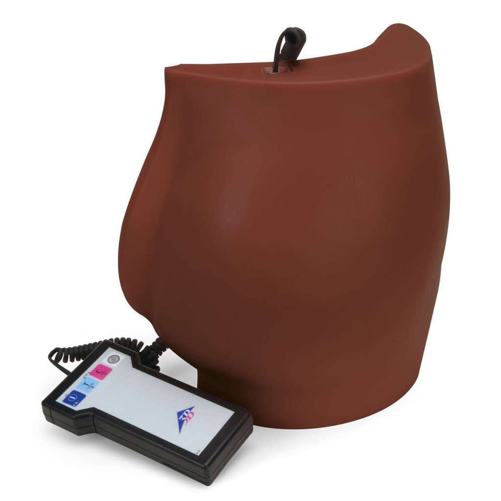 Simulateur d'injection fessière peau foncée 3B Scientific®