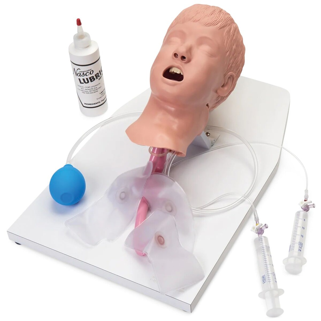 Voies respiratoires enfant avancées 3B Scientific®