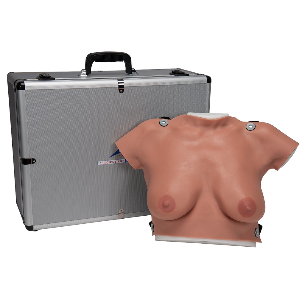 Modèle pour autopalpation mammaire avec étui peau claire 3B Scientific®