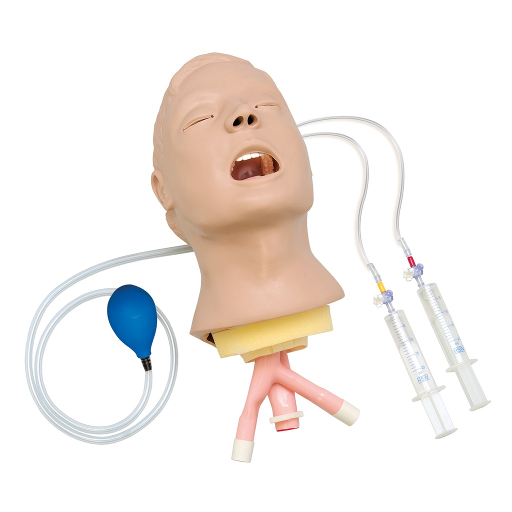 Tête d'entraînement avancée Airway Larry 3B Scientific®