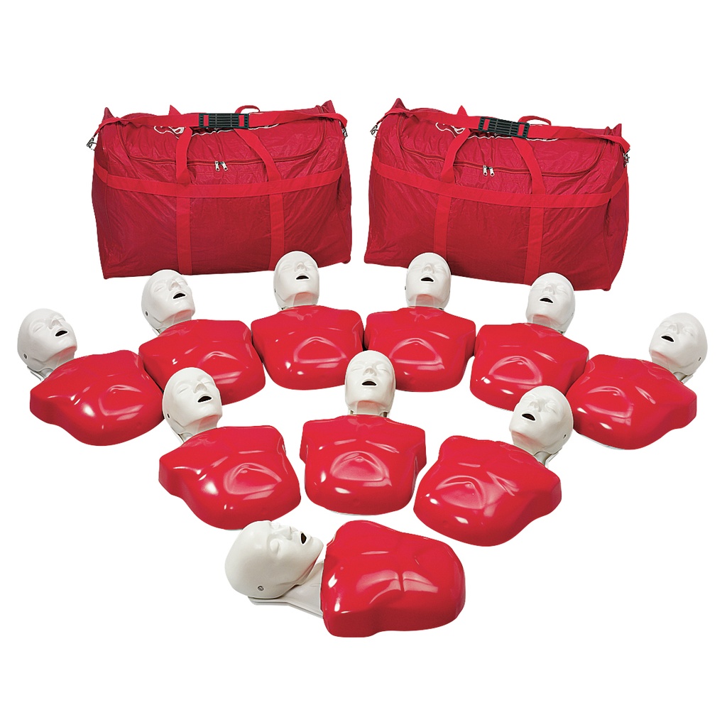 Torse de RCP Basic Buddy™ lot de 10 3B Scientific®