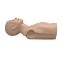Torse de RCP adulte 3B Scientific®