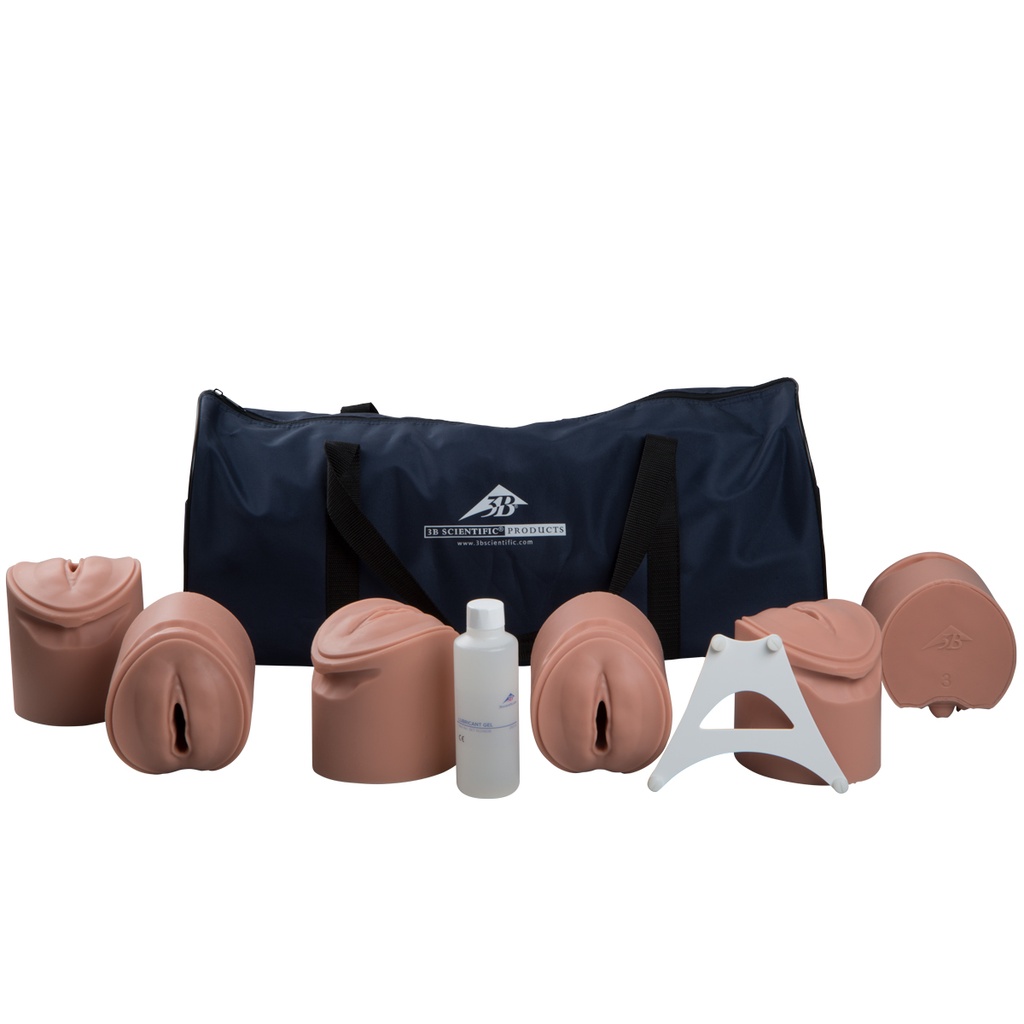 Simulateur des étapes de l'accouchement 3B P94D peau claire 3B Scientific®