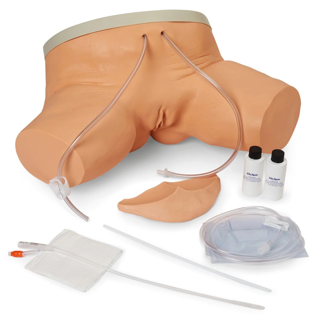 Simulateur de cathétérisme 3B Scientific®