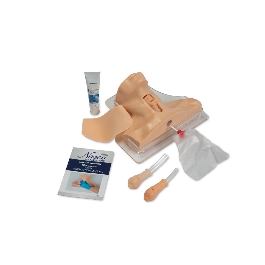 Simulateur de cricothyrotomie 3B Scientific®