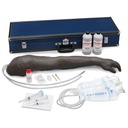 Bras pour ponction veineuse et injection 3B Scientific®