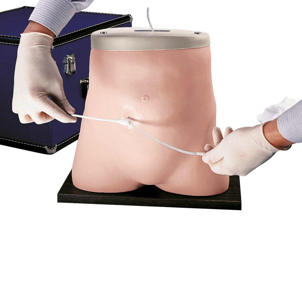 Simulateur de dialyse péritonéale 3B Scientific®