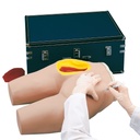 Simulateur d'injection intramusculaire 3B Scientific®