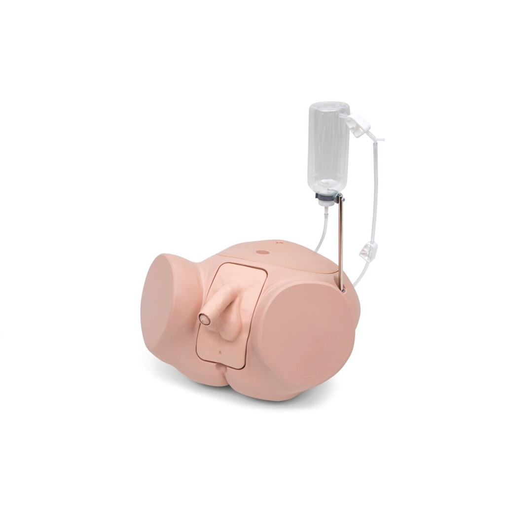 Simulateur de cathétérisme Pro Homme peau claire 3B Scientific®