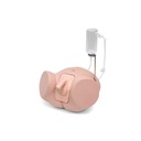 Simulateur de cathétérisme Pro Homme peau claire 3B Scientific®