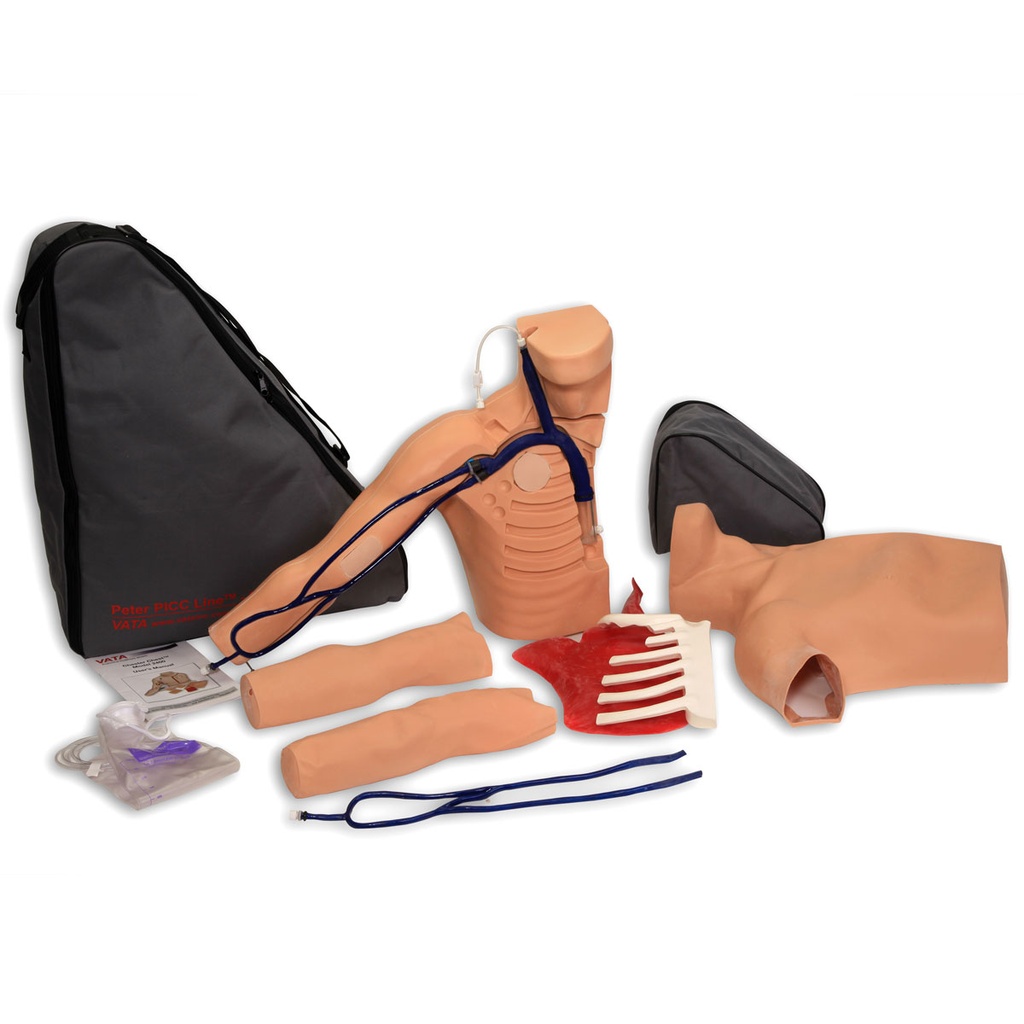 Simulateur de pose de PICC Peter 3B Scientific®
