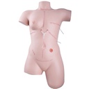 Simulateur de soins des plaies et de bandage 3B Scientific®