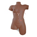 Simulateur de compétences en bandage et soins des plaies peau foncée 3B Scientific®