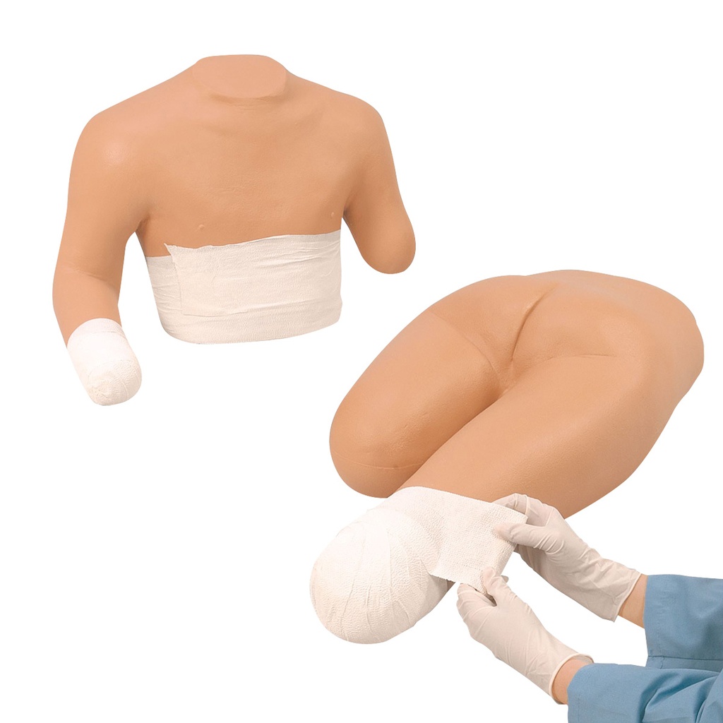 Bandage de moignon 3B Scientific®