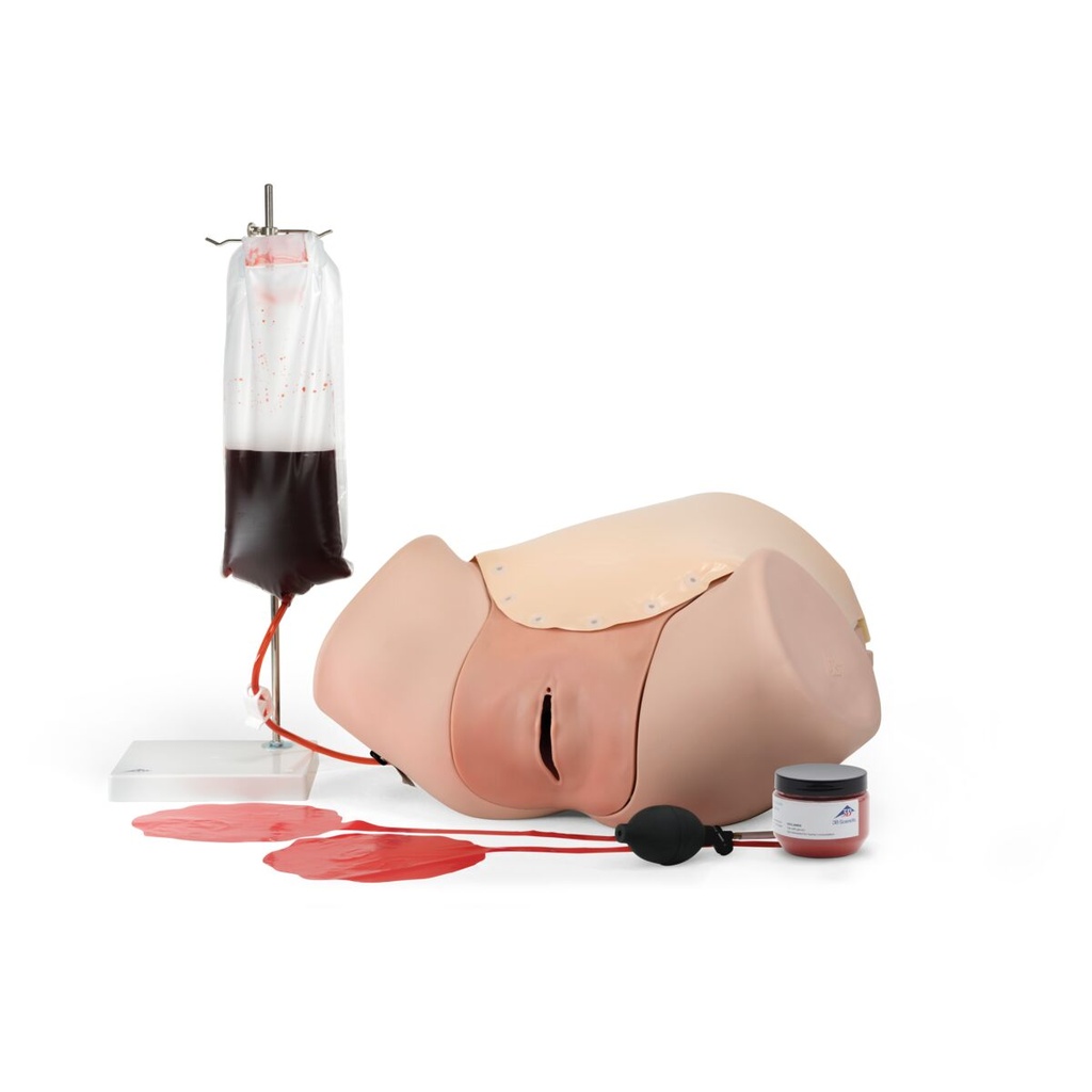 Simulateur PPH P97 Basic peau claire 3B Scientific®