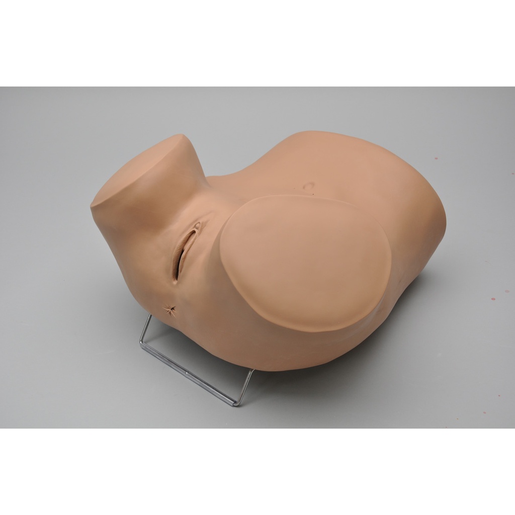 Simulateur de gynécologie ZOE avec laparoscopie 3B Scientific®