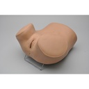 Simulateur de gynécologie ZOE avec laparoscopie 3B Scientific®