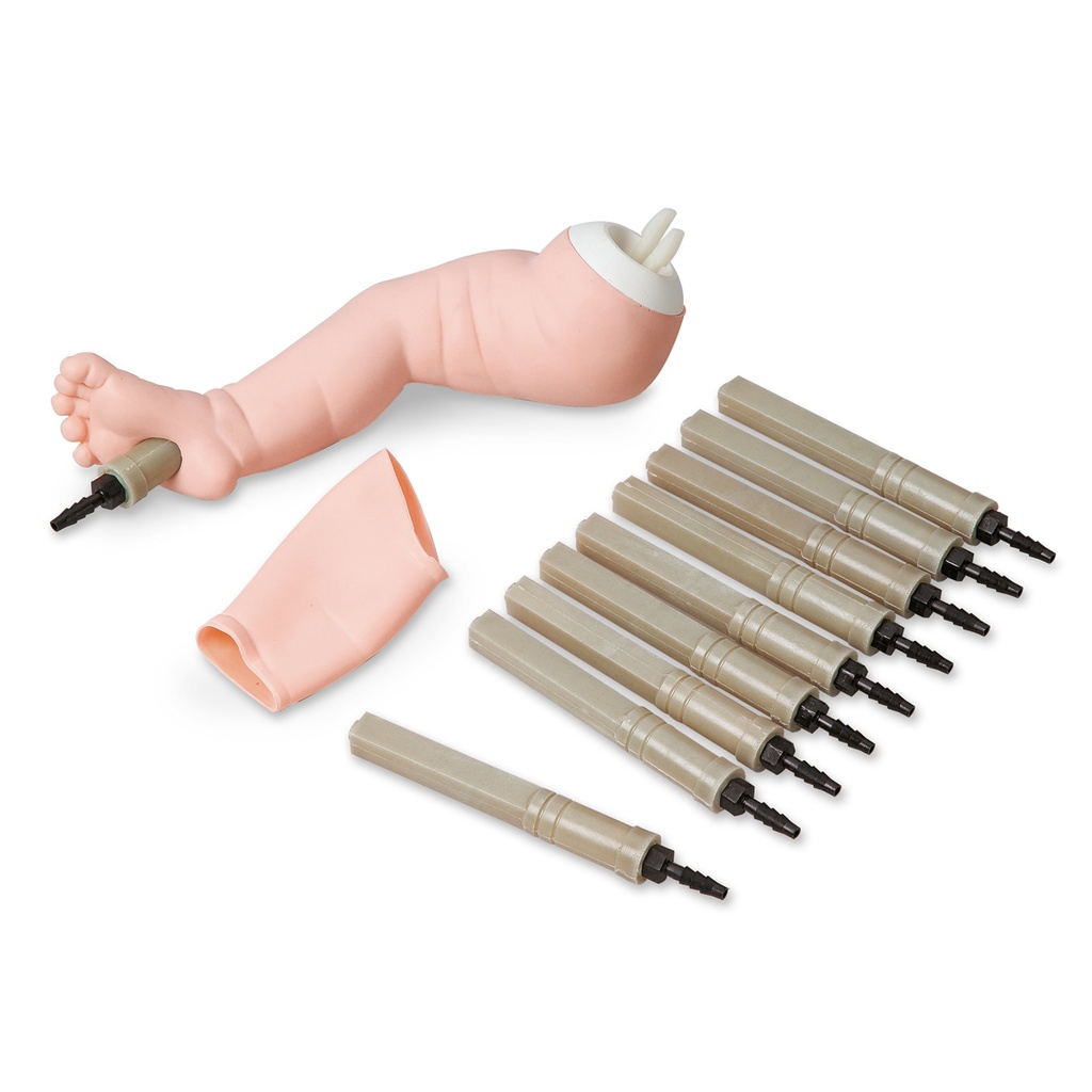 Jambe pour perfusion intraosseuse 3B Scientific®