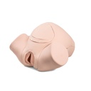 Simulateur d'accouchement 3B Basic peau claire 3B Scientific®