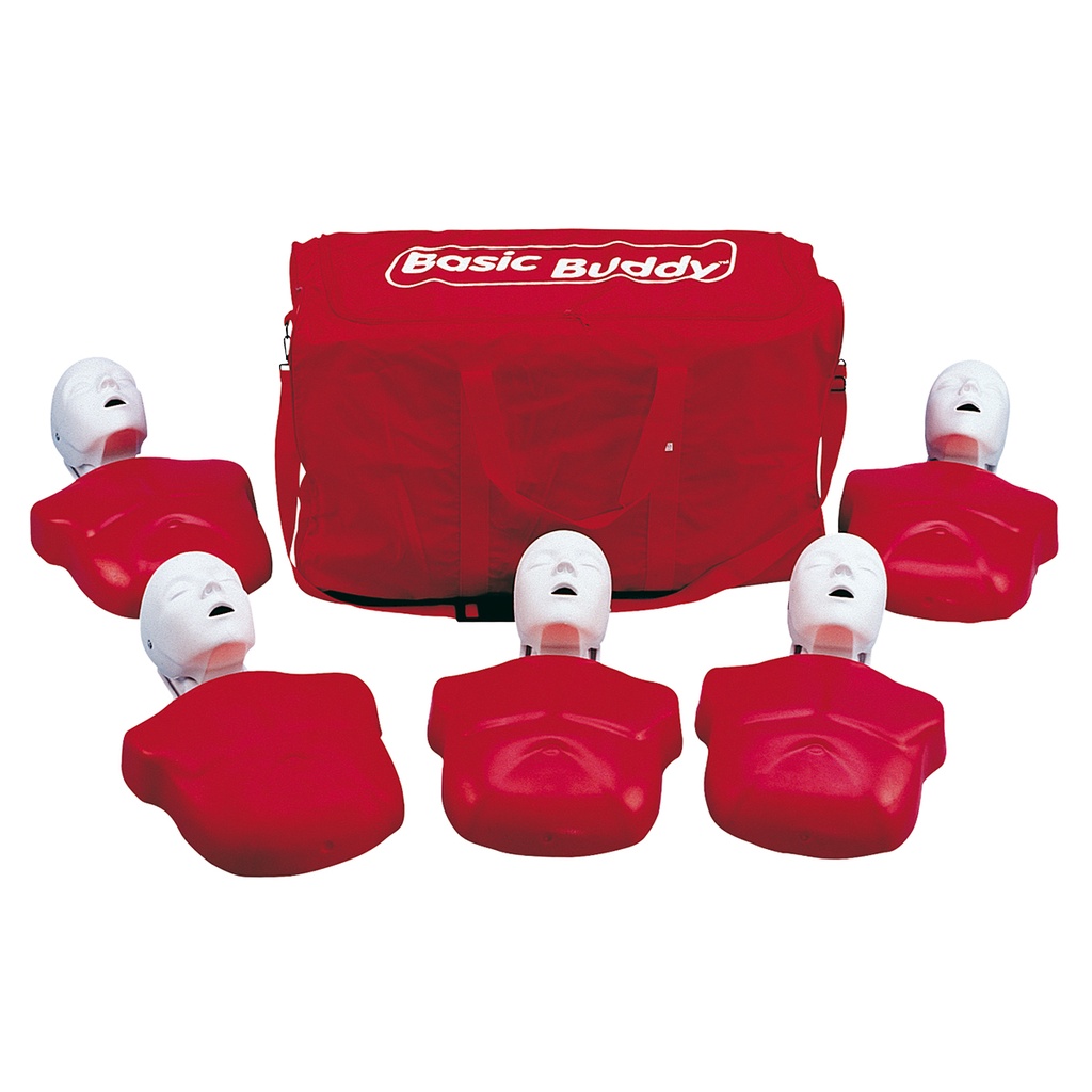 Torse de réanimation Basic Buddy™ lot de 5 3B Scientific®