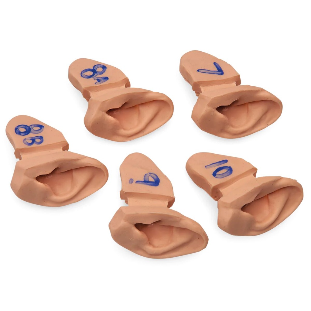 Oreilles supplémentaires 3B Scientific®