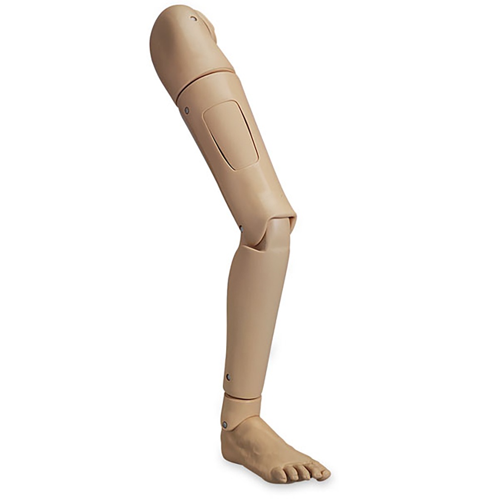Jambe droite complète pour Keri / Geri 3B Scientific®