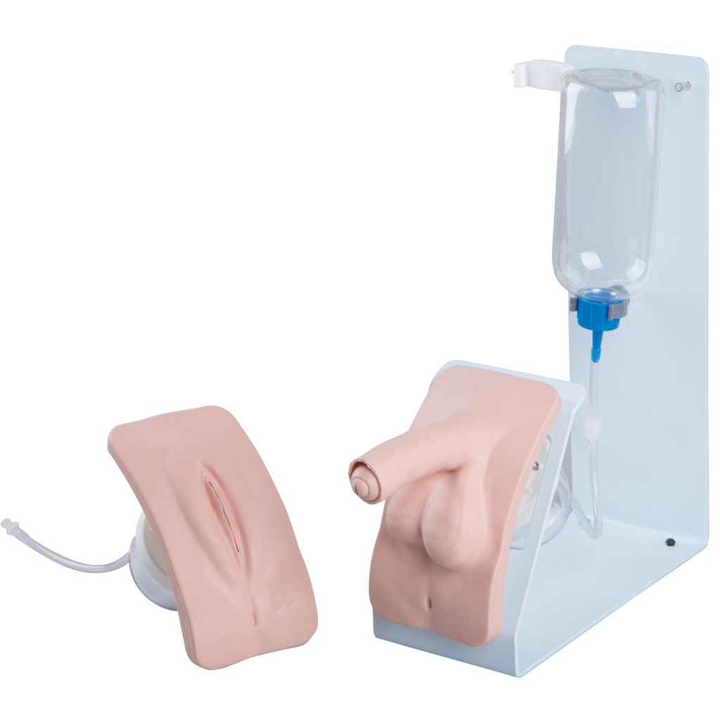 Ensemble de simulation de cathétérisme basique peau claire 3B Scientific®
