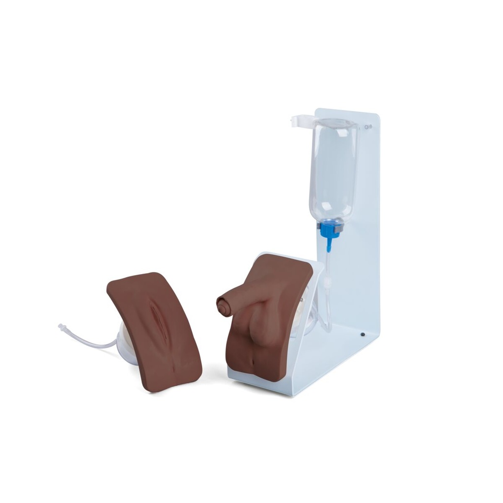 Ensemble de simulation de cathétérisme basique peau foncée 3B Scientific®