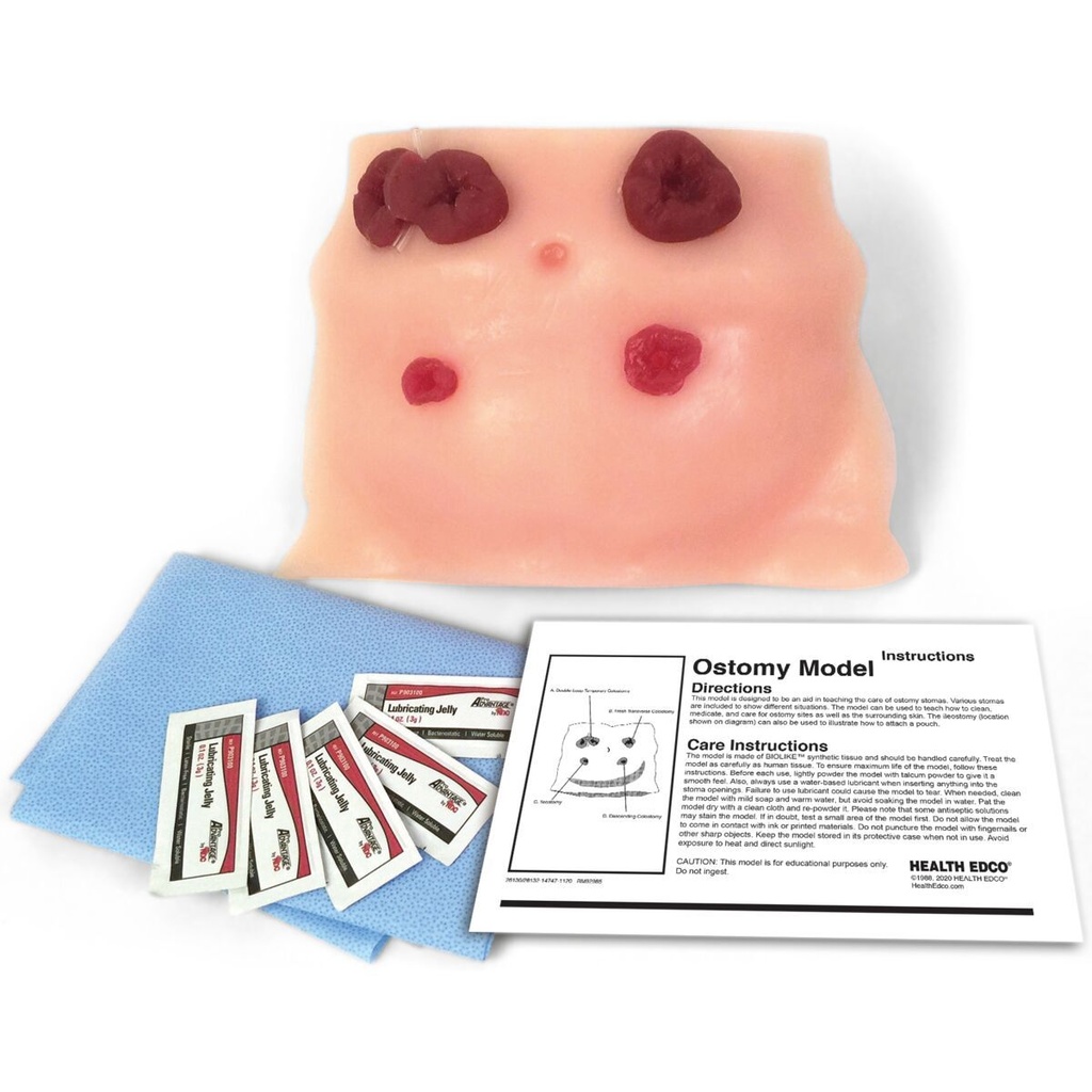 Modèle de soins de stomie 3B Scientific®
