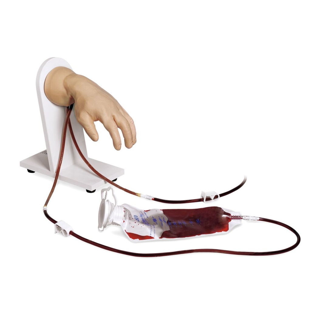 Main pour injection I.V. - Peau claire 3B Scientific®