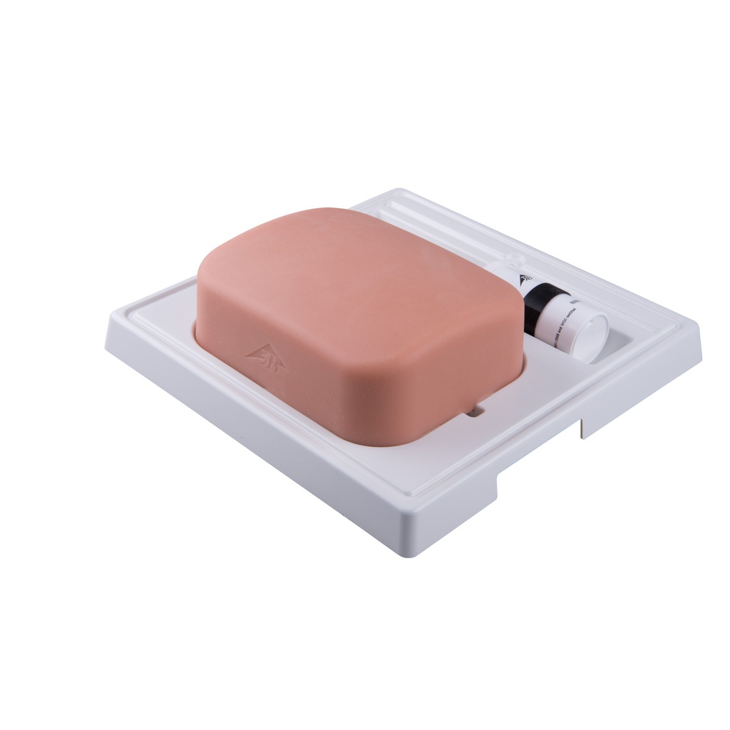 Modèle de vésicule biliaire SONOtrain™ peau claire 3B Scientific®