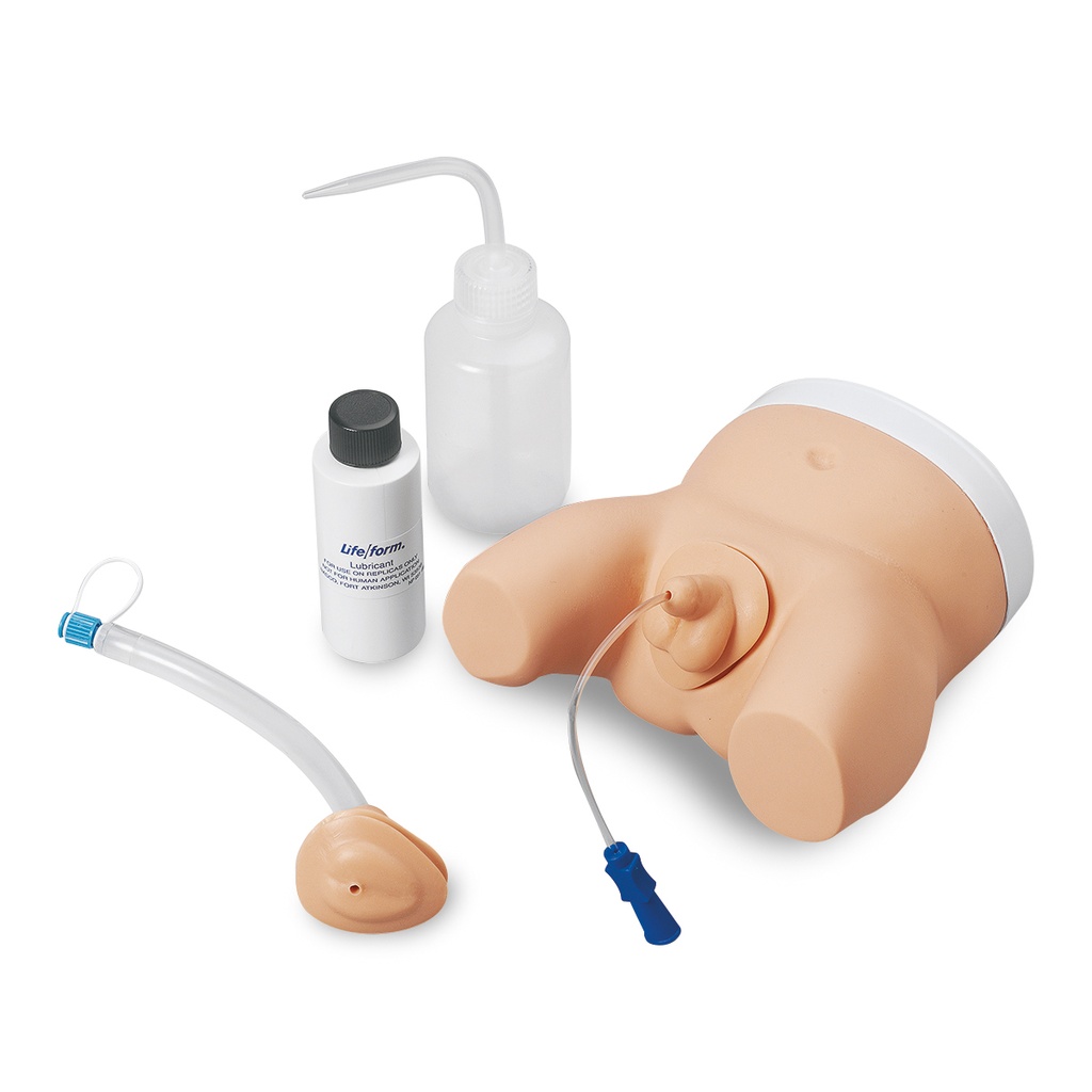 Simulateur de cathétérisme masculin et féminin nourrisson 3B Scientific®
