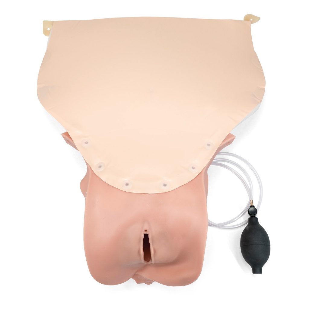 Module PPH Trainer P97 peau claire 3B Scientific®