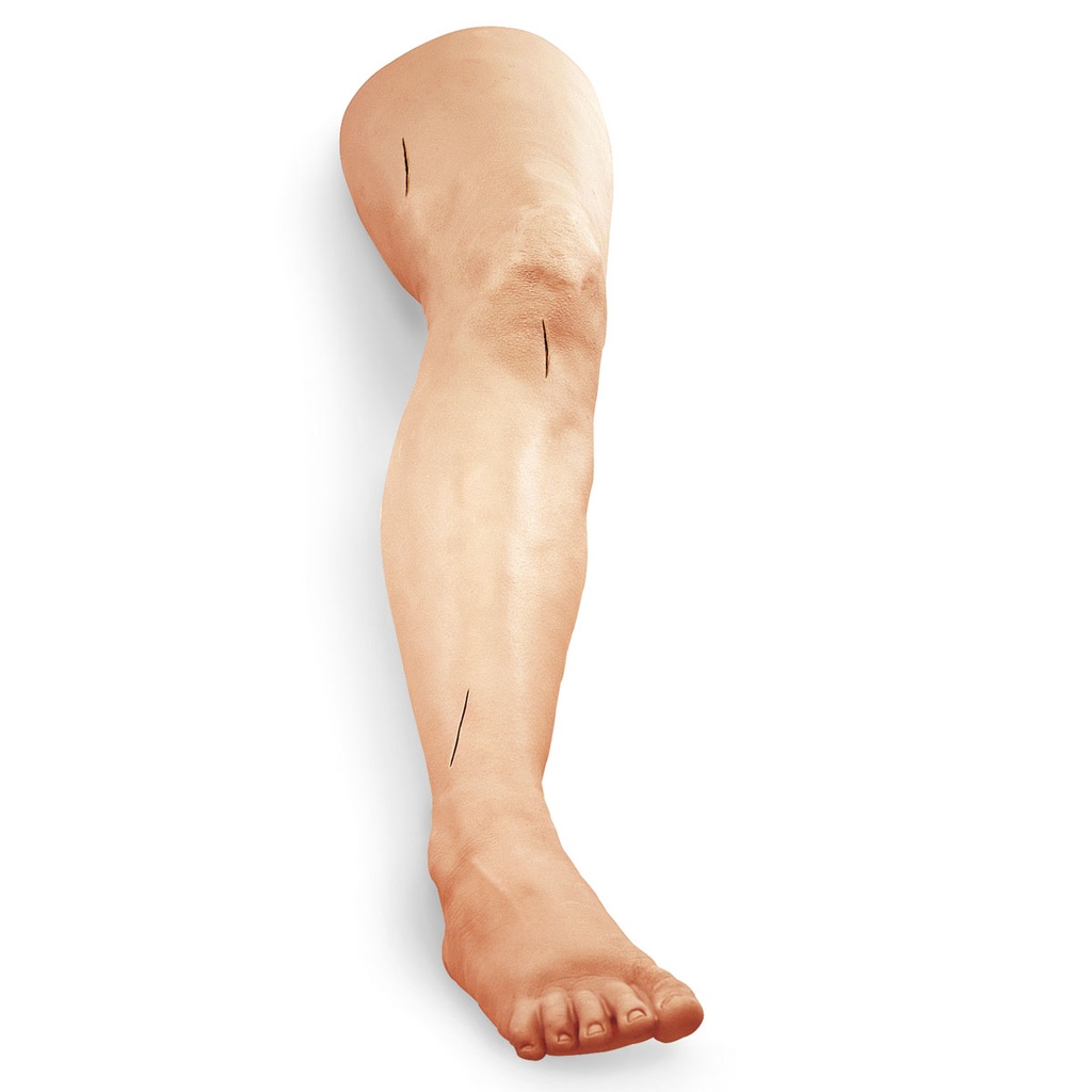 Jambe d'entraînement à la suture 3B Scientific®