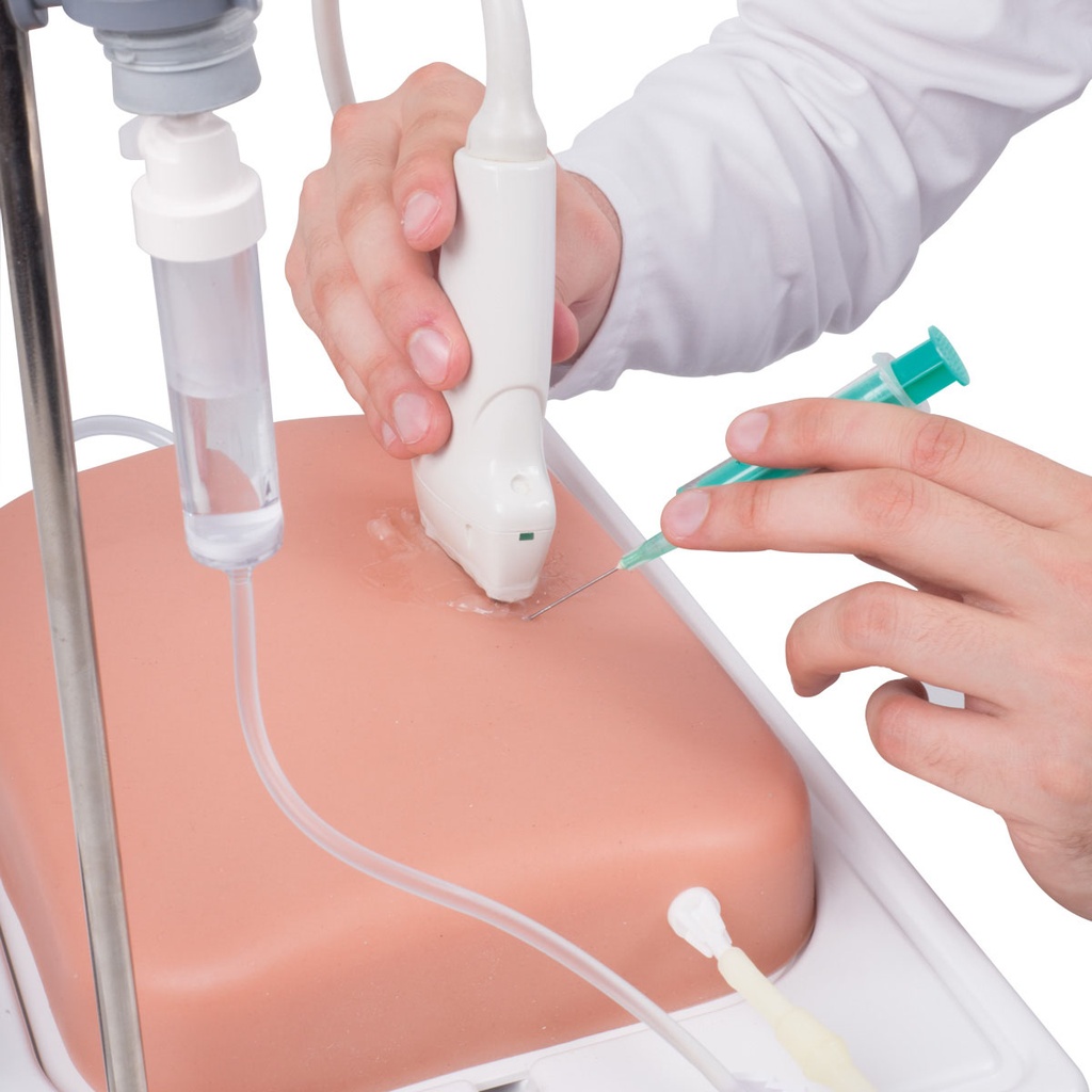 Modèle de veine SONOtrain™ peau claire 3B Scientific®