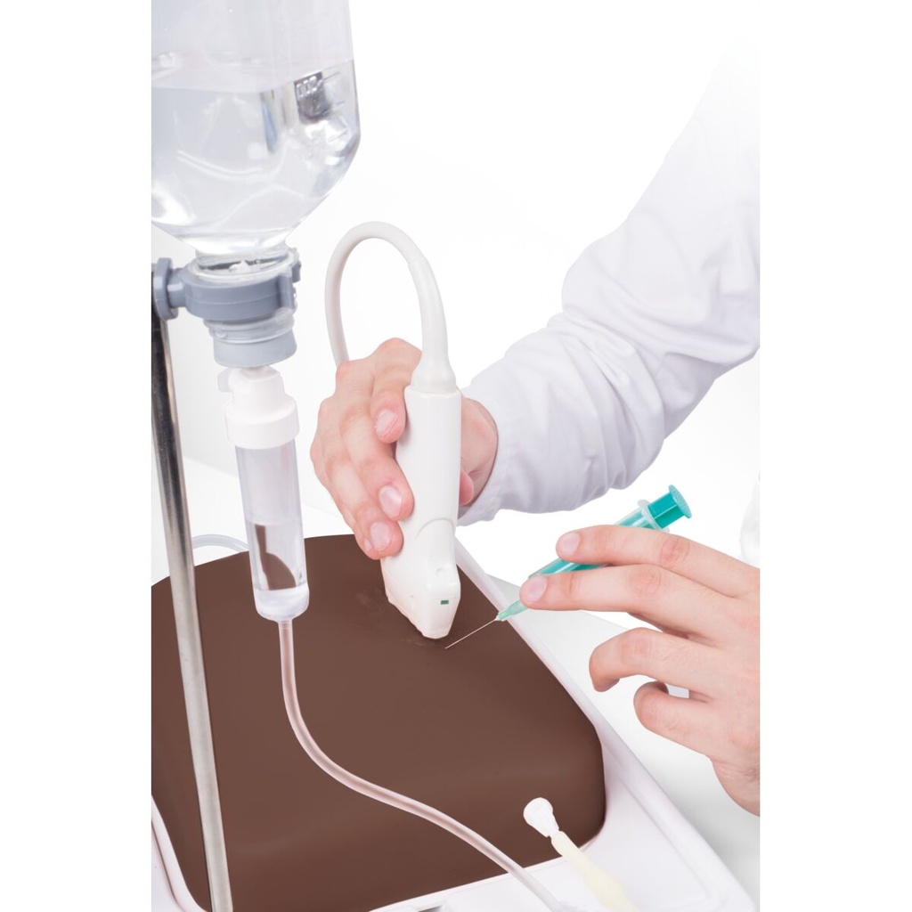 Modèle de veine SONOtrain™ peau foncée 3B Scientific®