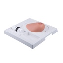 SONOtrain™ Sein avec tumeurs peau claire 3B Scientific®