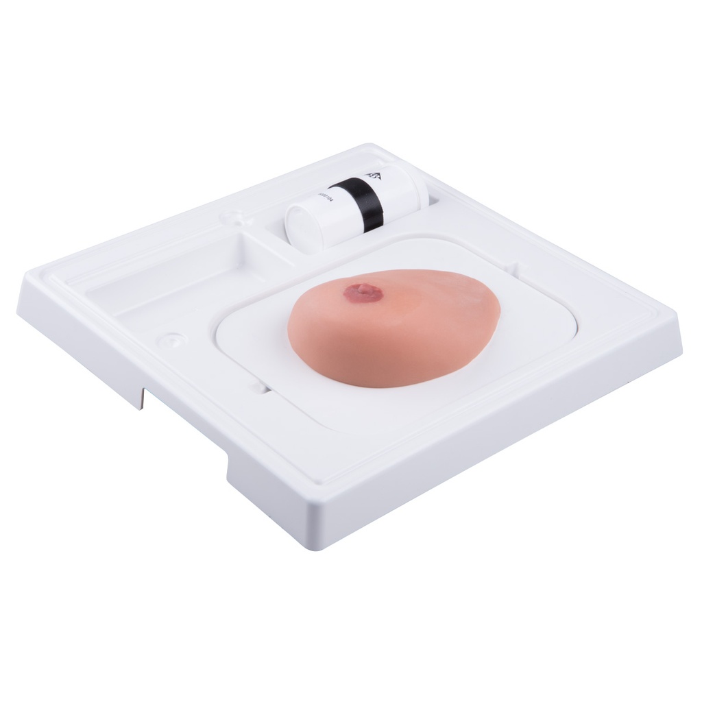 Modèle de sein SONOtrain™ avec kystes peau claire 3B Scientific®