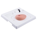 Modèle de sein SONOtrain™ avec kystes peau claire 3B Scientific®