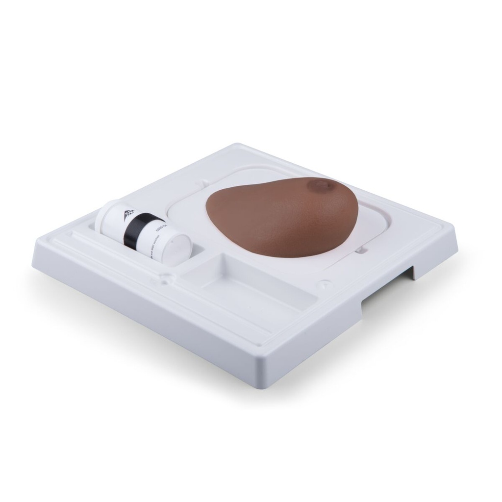 Modèle de sein SONOtrain™ avec kystes peau foncée 3B Scientific®